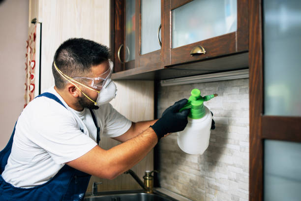  Alamo, TN Pest Control Pros