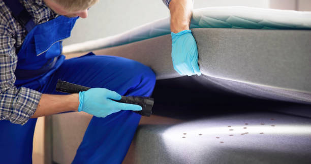 Best Flea Control Services  in Alamo, TN